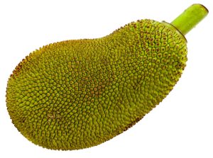 Jackfruit