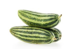 Pointed Gourd